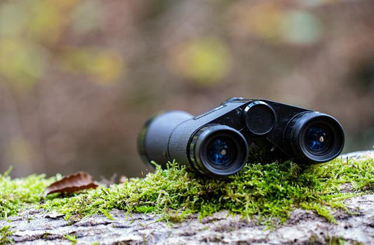 Binoculars laying on a down tree trunk with moss.